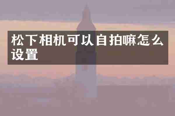 松下相机可以自拍嘛怎么设置