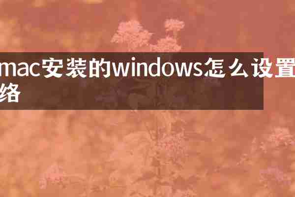 mac安装的windows怎么设置网络