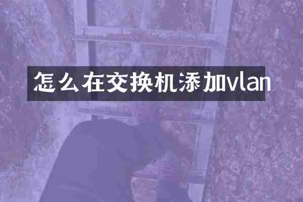 怎么在交换机添加vlan