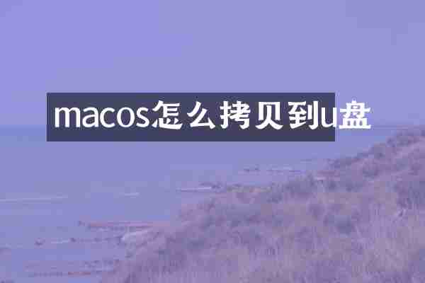 macos怎么拷贝到u盘