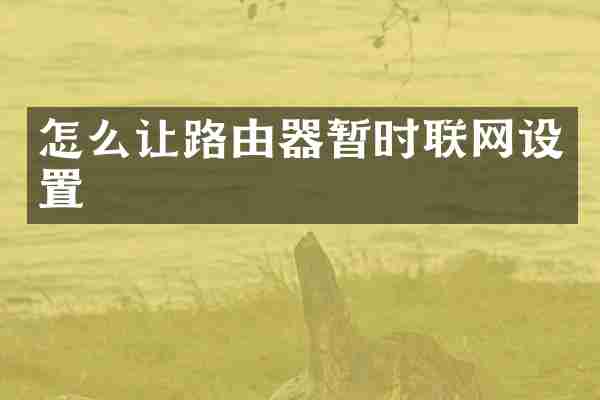 怎么让路由器暂时联网设置