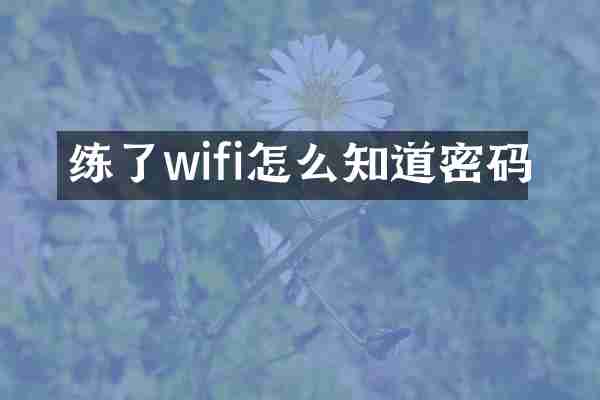 练了wifi怎么知道密码