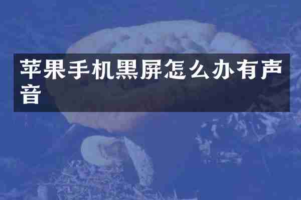 苹果手机黑屏怎么办有声音