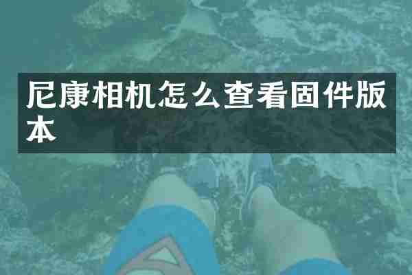 尼康相机怎么查看固件版本