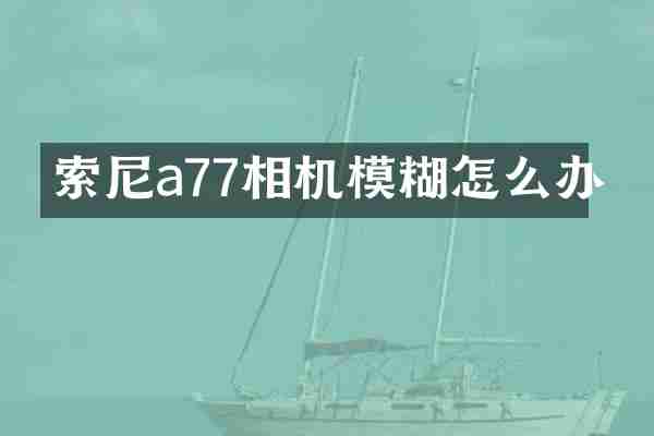 索尼a77相机模糊怎么办