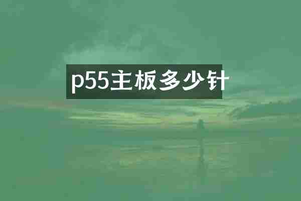 p55主板多少针