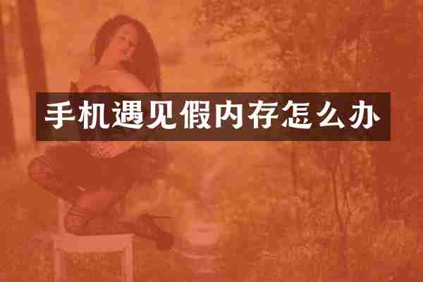 手机遇见假内存怎么办