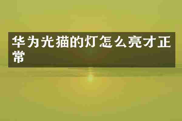 华为光猫的灯怎么亮才正常