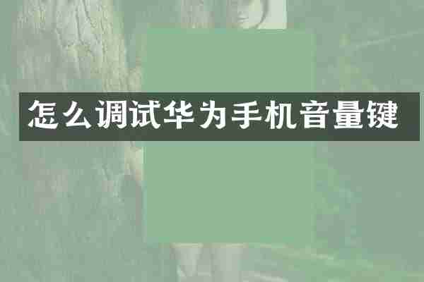 怎么调试华为手机音量键
