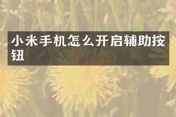 小米手机怎么开启辅助按钮