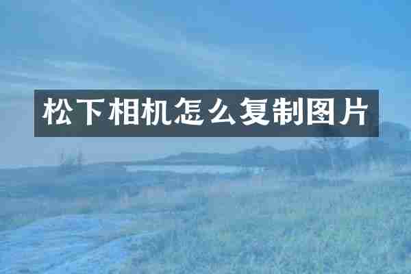 松下相机怎么复制图片