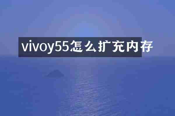 vivoy55怎么扩充内存