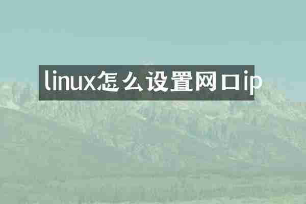 linux怎么设置网口ip