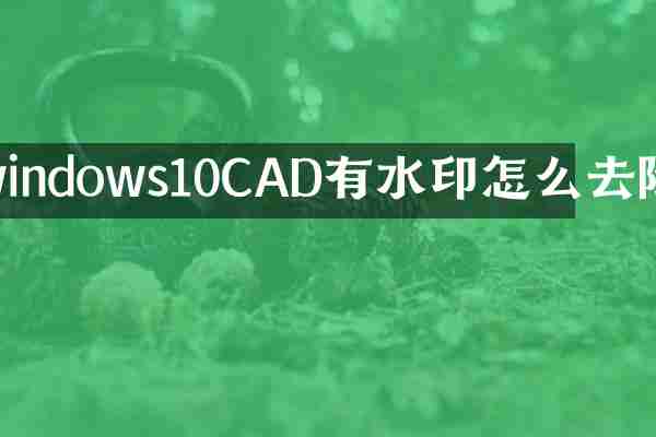 windows10CAD有水印怎么去除