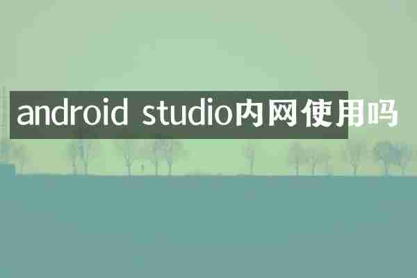 android studio内网使用吗