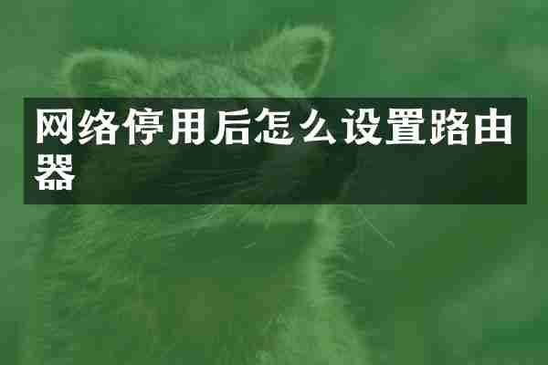 网络停用后怎么设置路由器
