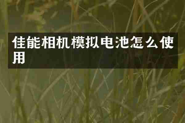 佳能相机模拟电池怎么使用