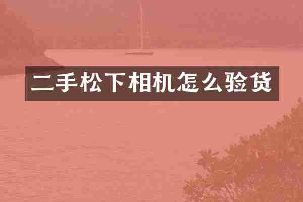 二手松下相机怎么验货