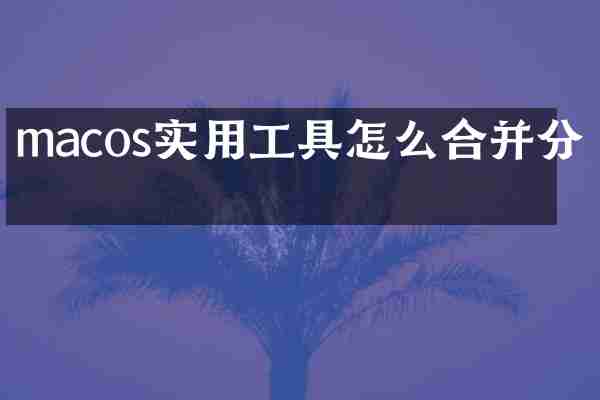 macos实用工具怎么合并分区