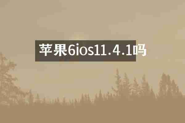 苹果6ios11.4.1吗