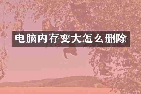 电脑内存变大怎么删除