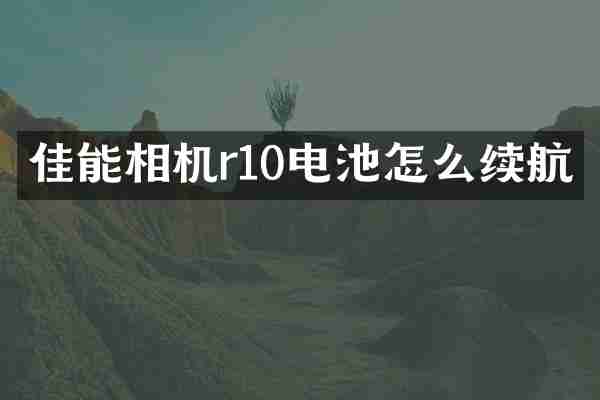 佳能相机r10电池怎么续航