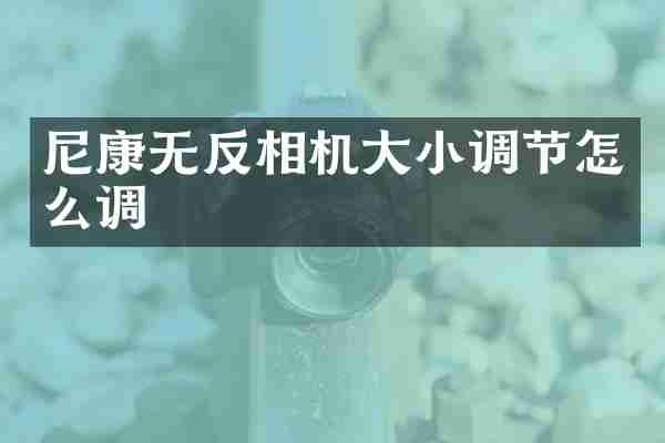 尼康无反相机大小调节怎么调