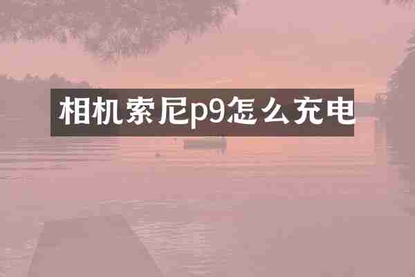 相机索尼p9怎么充电