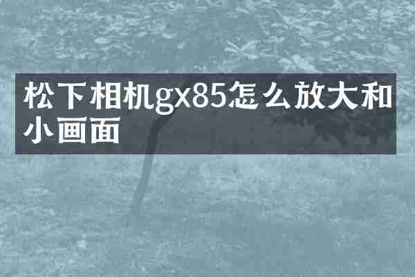 松下相机gx85怎么放大和缩小画面