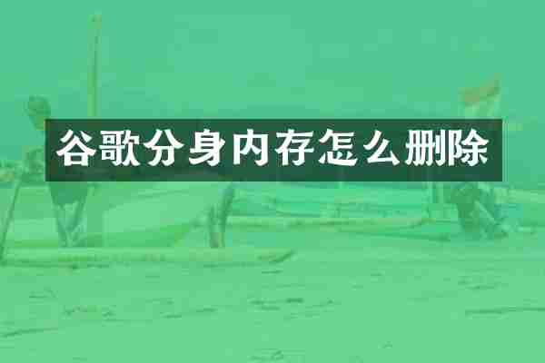 谷歌分身内存怎么删除