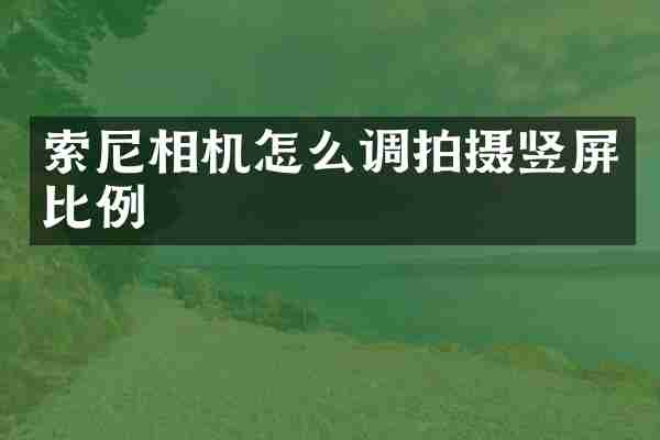 索尼相机怎么调拍摄竖屏比例