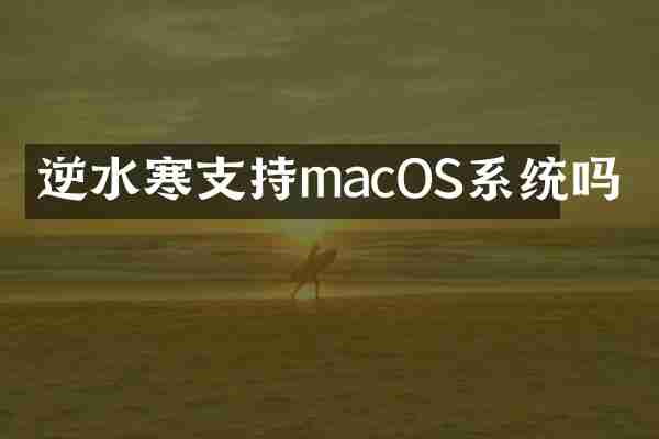 逆水寒支持macOS系统吗