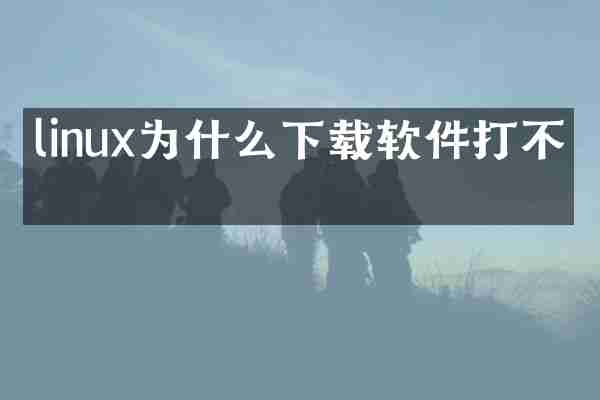linux为什么下载软件打不开