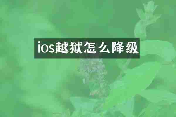 ios越狱怎么降级