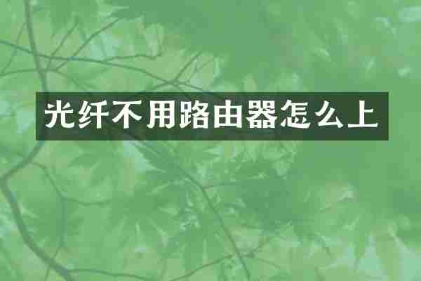 光纤不用路由器怎么上