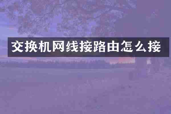 交换机网线接路由怎么接