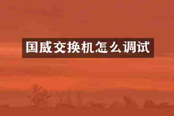 国威交换机怎么调试