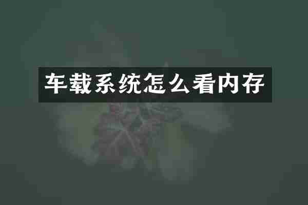 车载系统怎么看内存