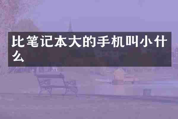 比笔记本大的手机叫小什么