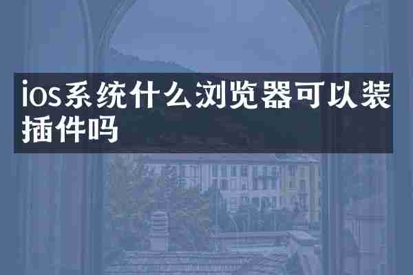 ios系统什么浏览器可以装插件吗