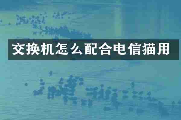 交换机怎么配合电信猫用