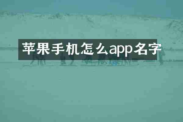 苹果手机怎么app名字