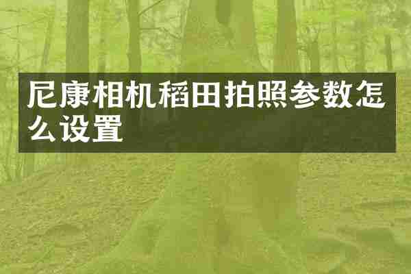 尼康相机稻田拍照参数怎么设置