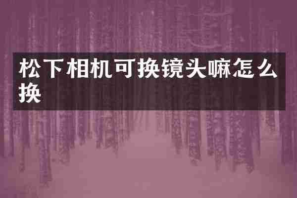 松下相机可换镜头嘛怎么换