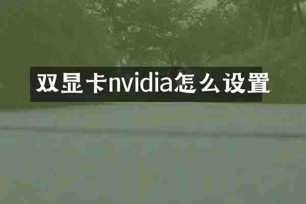 双显卡nvidia怎么设置