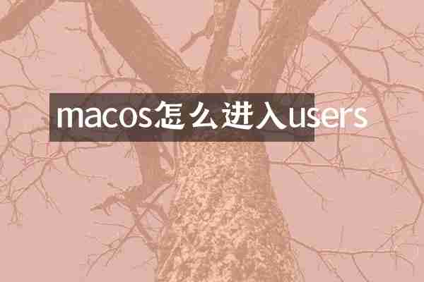 macos怎么进入users