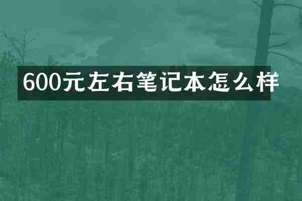 600元左右笔记本怎么样
