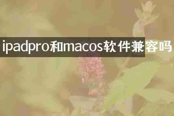 ipadpro和macos软件兼容吗