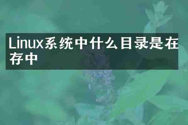 Linux系统中什么目录是在内存中