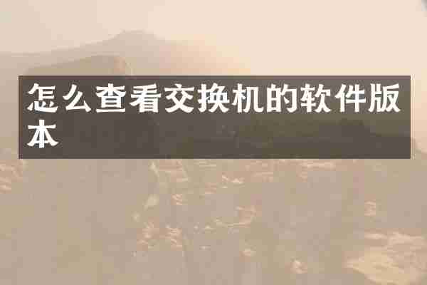 怎么查看交换机的软件版本